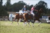 UKPA  NC Sat_1516
